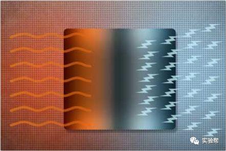 Topological materials are ideal thermoelectric materials